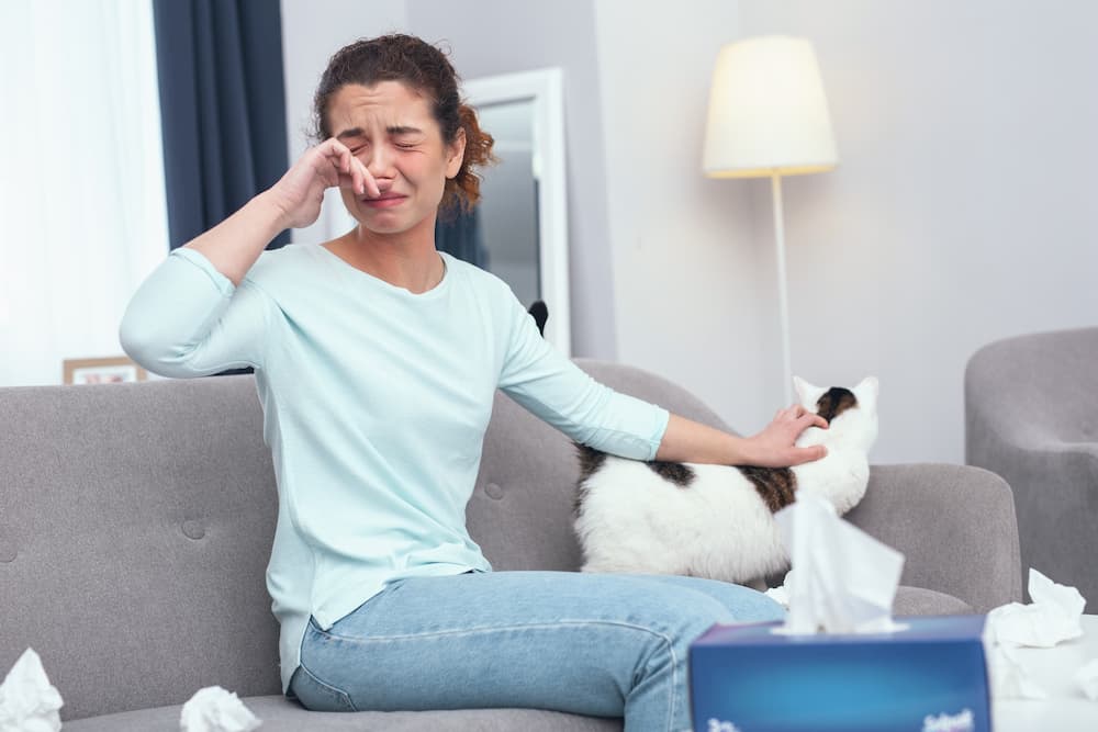Why Are My Allergies Worse When I’m At Home?