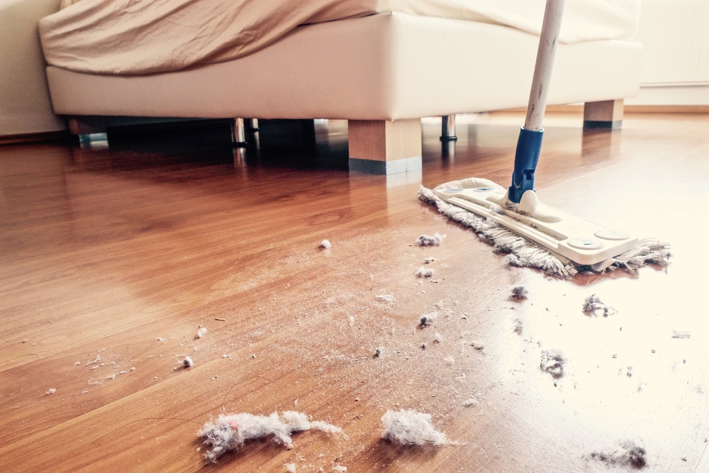 Top Tips to Get Rid of Dust in the Wintertime